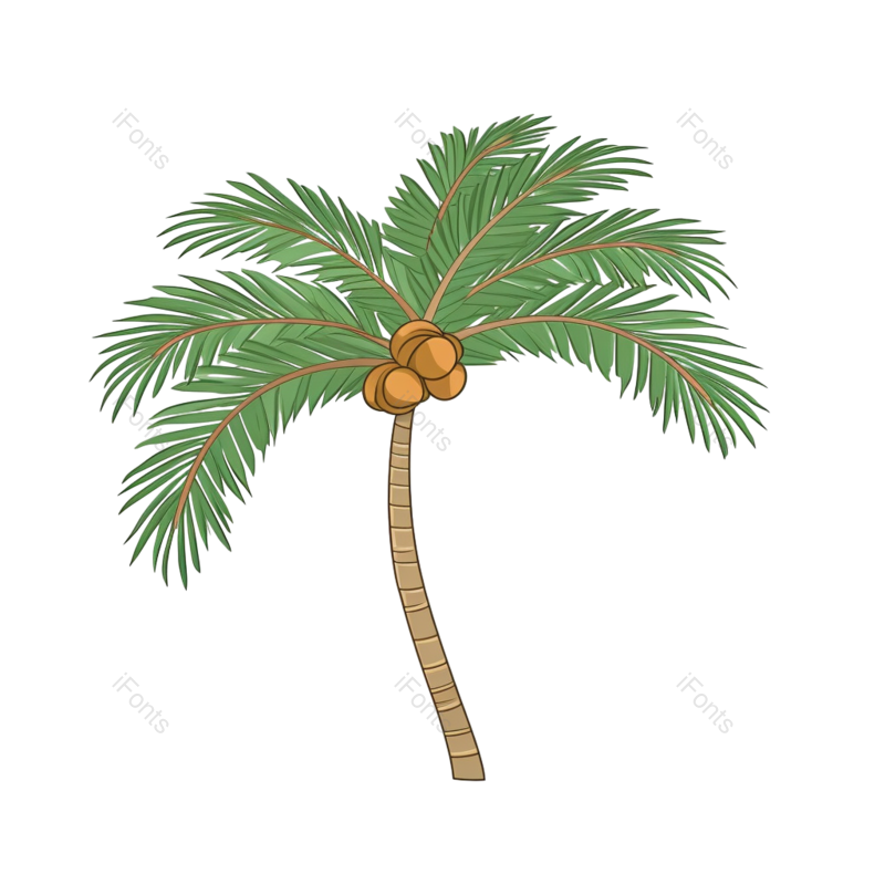 装饰图片,元素元素,夏天PNG,椰子免抠素材